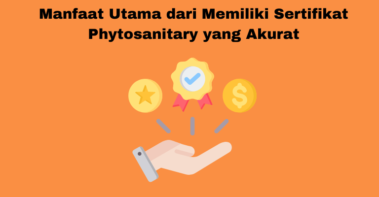 Manfaat Utama dari Memiliki Sertifikat Phytosanitary yang Akurat