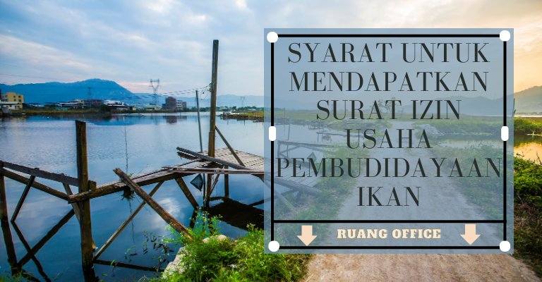 Surat Izin Usaha Pembudidayaan Ikan